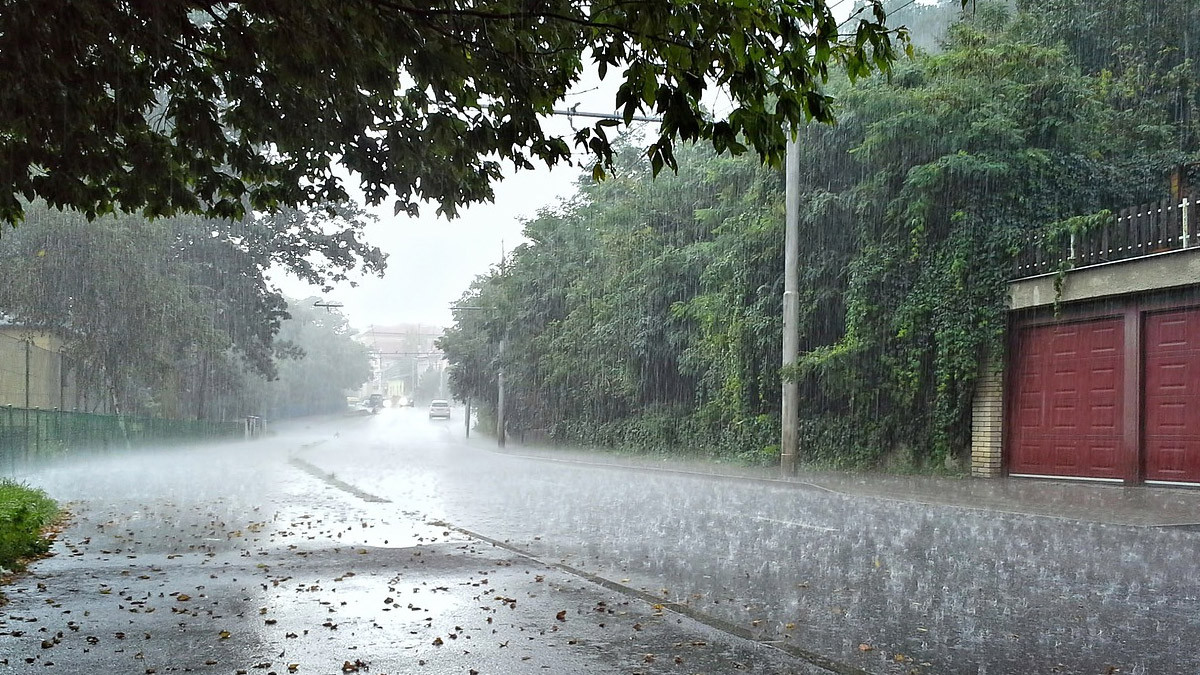 Rains in Telangana: తెలంగాణకు వర్ష సూచన.. రాష్ట్రవ్యాప్తంగా నేడు, రేపు ఓ మోస్తరు వర్షాలు.. వాతావరణ శాఖ వెల్లడి