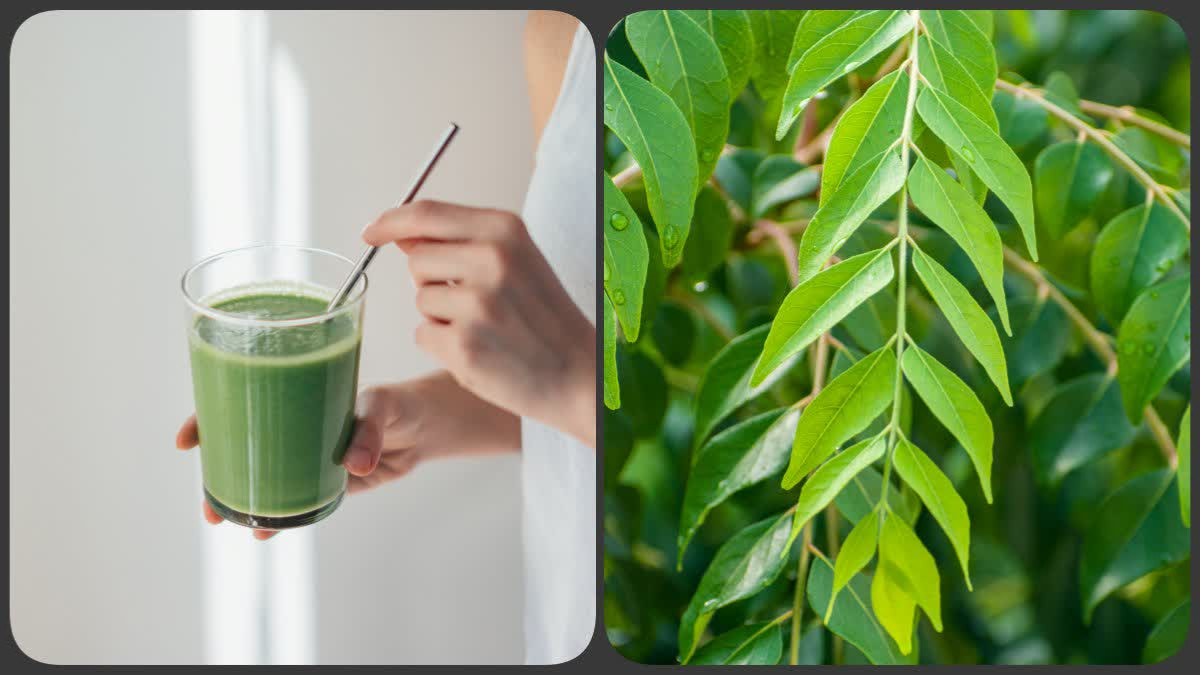 Health Tips: కరివేపాకులో ఎన్ని అద్భుతమైన ప్రయోజనాలు ఉన్నాయో తేలుసా... చర్మంతో పాటు, కరివేపాకు గుండెను కూడా ఆరోగ్యంగా ఉంచుతుంది...
